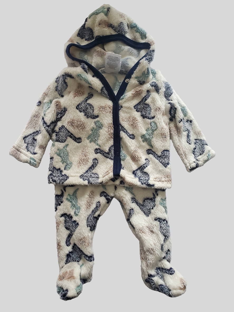 Little Joy Fall Hoodie & Pant Set